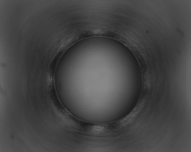 X0000090490176200708031154