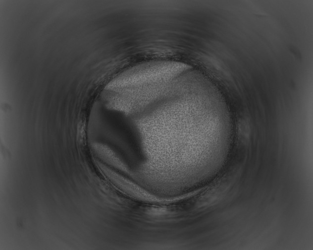 X0000090490177200708031154