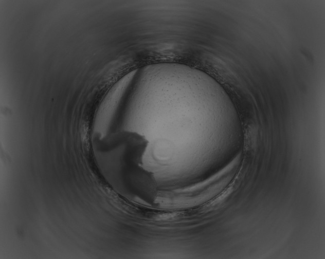 X0000090490178200708031154