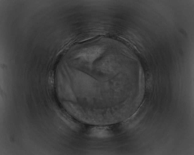 X0000090490179200708031154