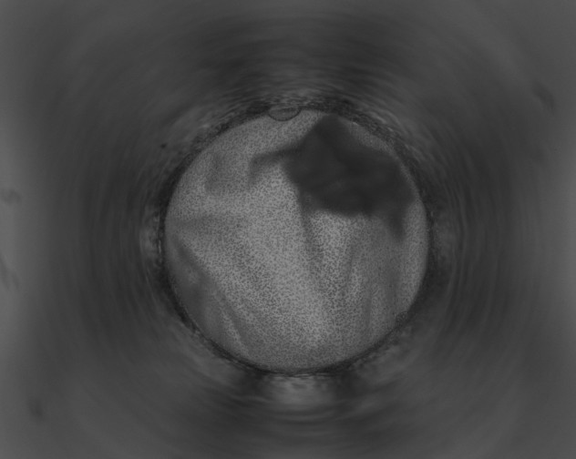 X0000090490181200708031154