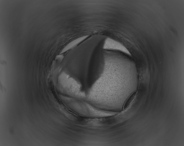 X0000090490182200708031154