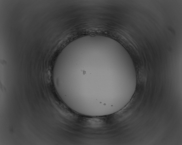 X0000090490183200708031154