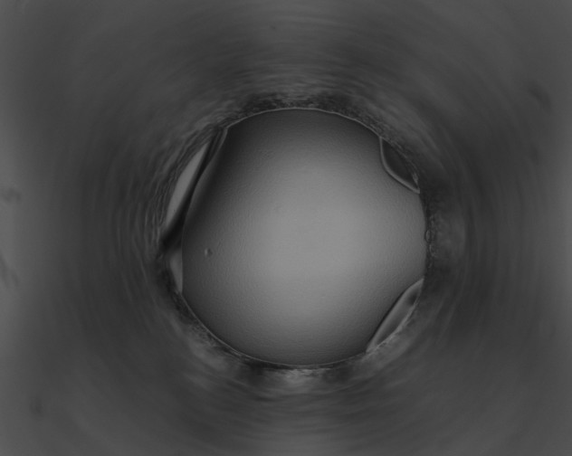 X0000090490184200708031154