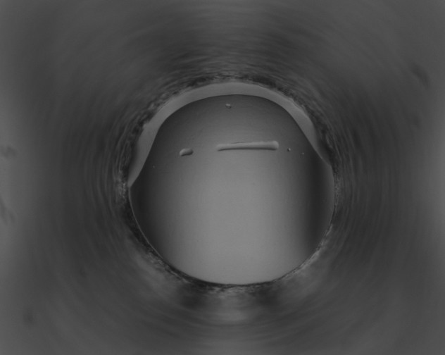 X0000090490186200708031154