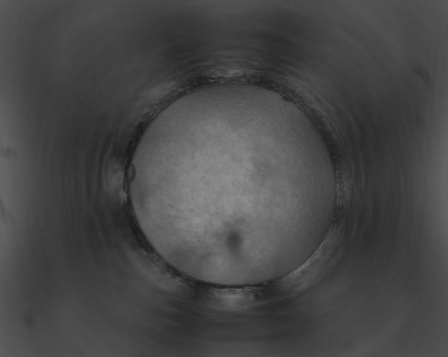 X0000090490187200708031154