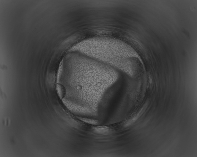 X0000090490189200708031154