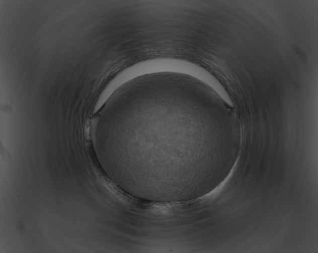 X0000090490190200708031154