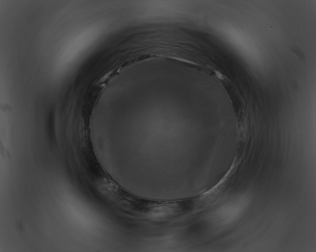 X0000090490191200708031155