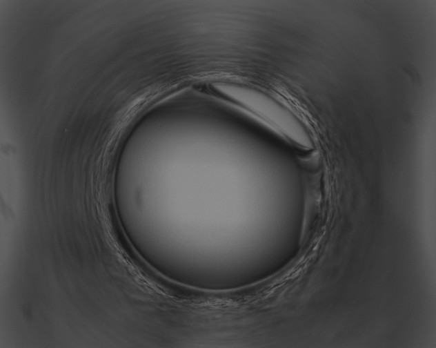 X0000090490193200708031154