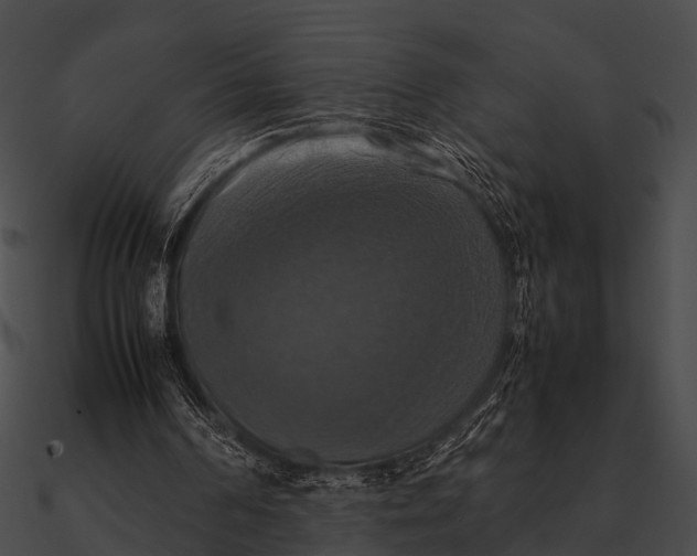 X0000090490194200708031154