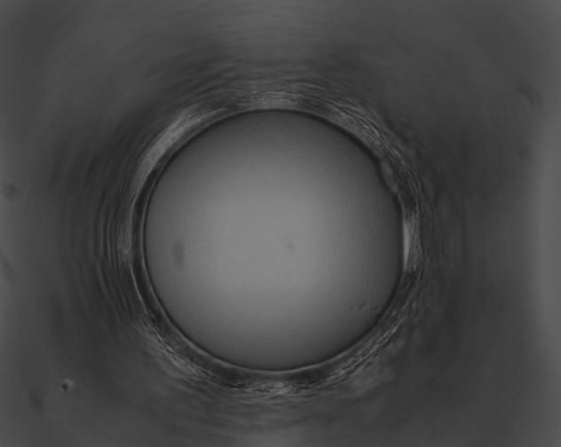 X0000090490195200708031154