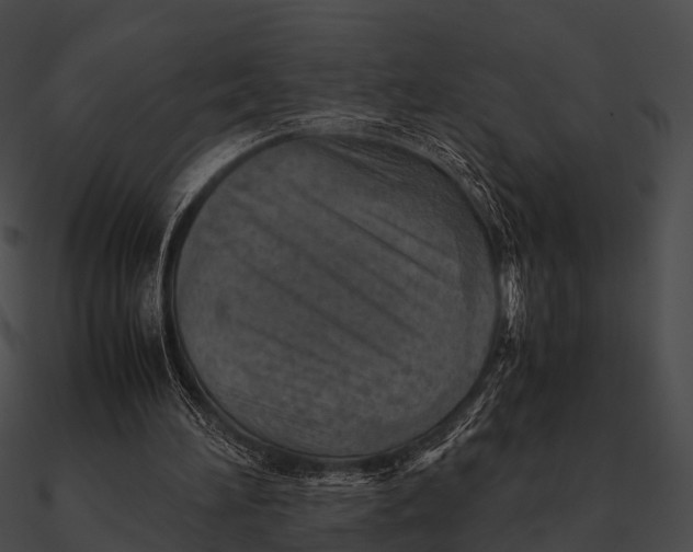 X0000090490196200708031154