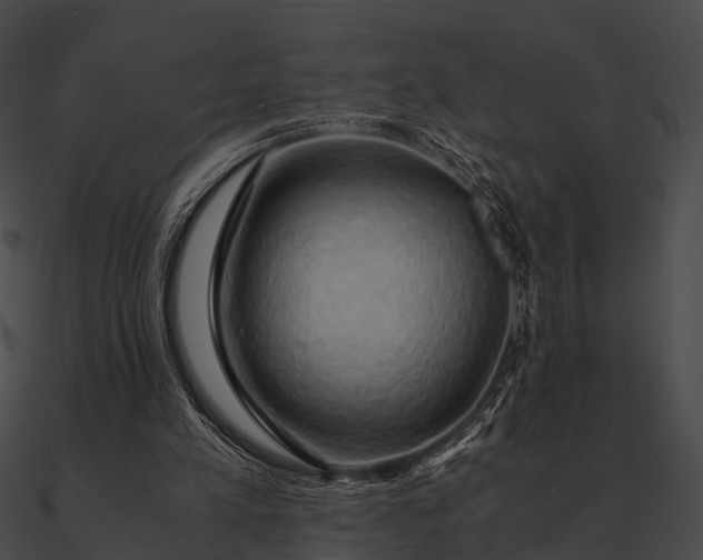 X0000090490197200708031154