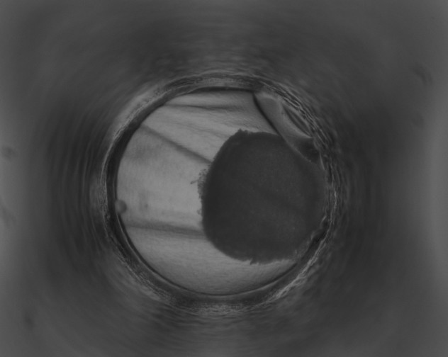 X0000090490198200708031154