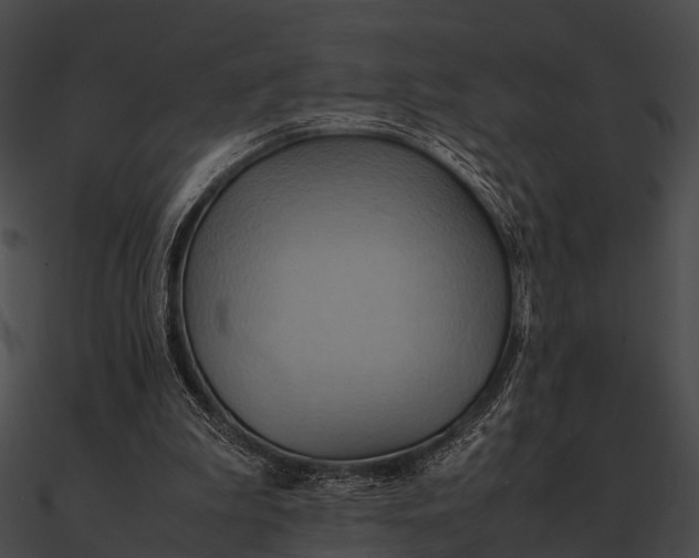 X0000090490199200708031154