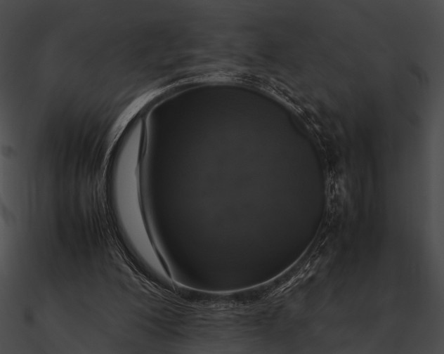 X0000090490200200708031154