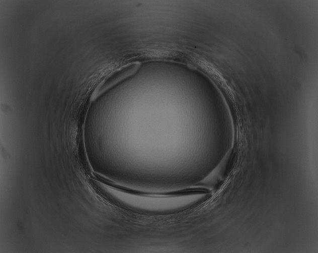 X0000090490201200708031154