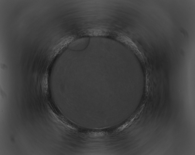 X0000090490202200708031154