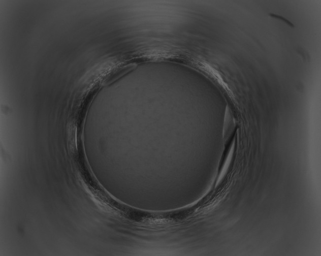 X0000090490205200708031154