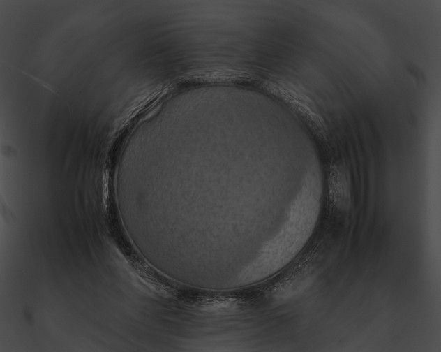 X0000090490206200708031154