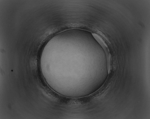 X0000090490207200708031153