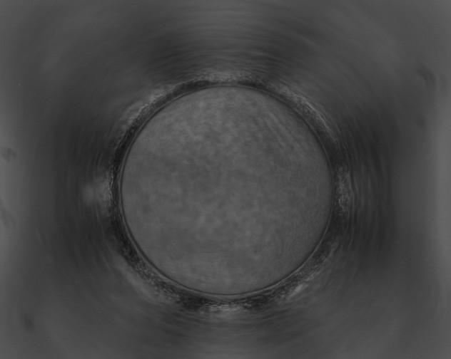 X0000090490208200708031153