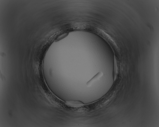 X0000090490209200708031153