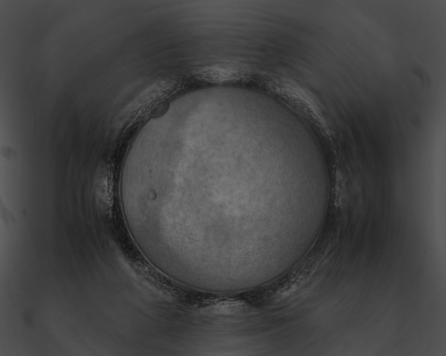 X0000090490210200708031153