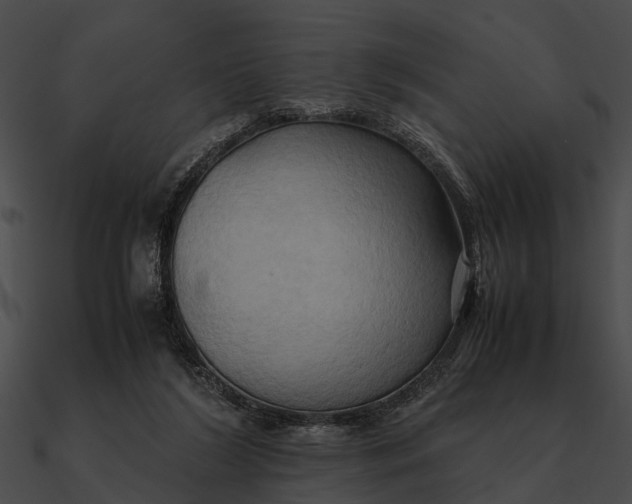 X0000090490212200708031153