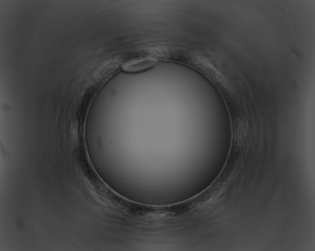 X0000090490213200708031153