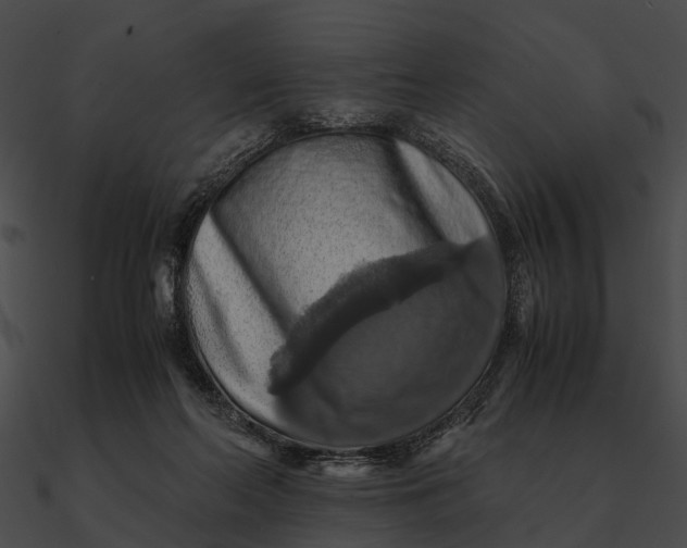 X0000090490214200708031153