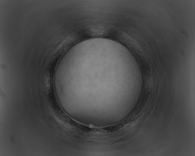 X0000090490215200708031153