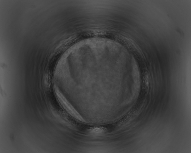 X0000090490218200708031153