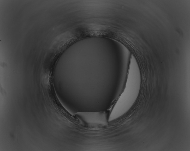 X0000090490219200708031153