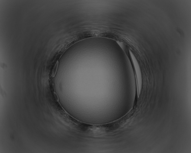 X0000090490221200708031153