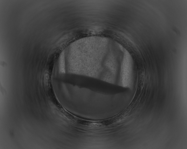 X0000090490222200708031153