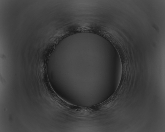 X0000090490223200708031153