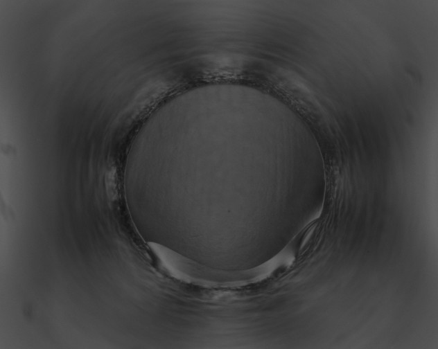 X0000090490224200708031153