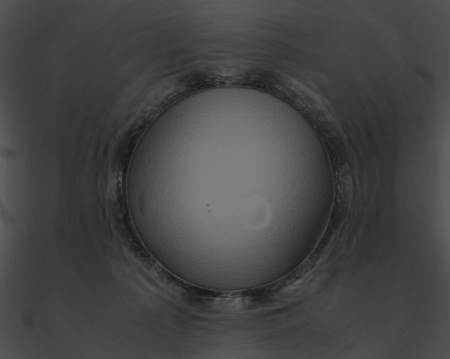 X0000090490225200708031153