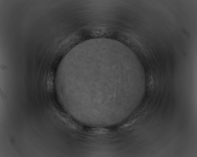 X0000090490226200708031153