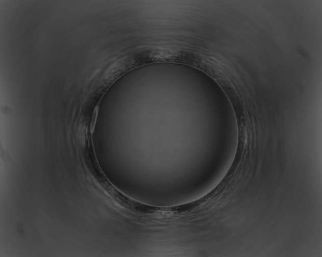 X0000090490227200708031153