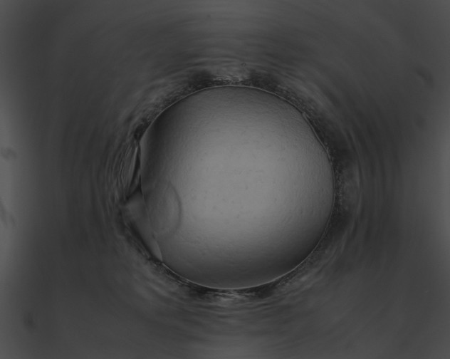 X0000090490229200708031153