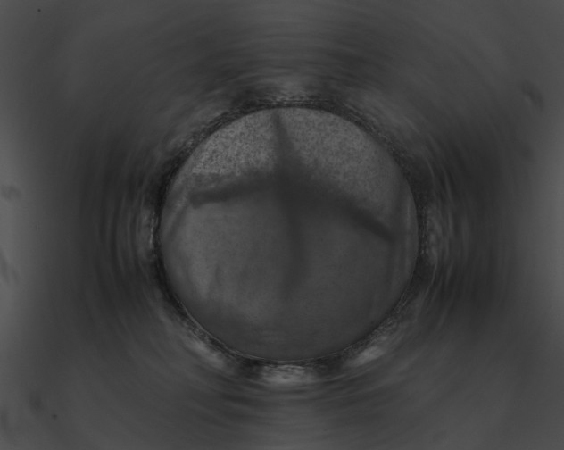 X0000090490230200708031153