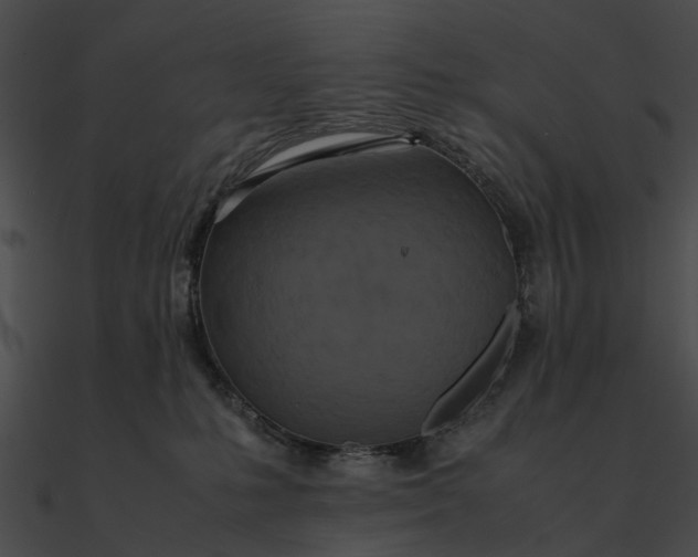 X0000090490231200708031153