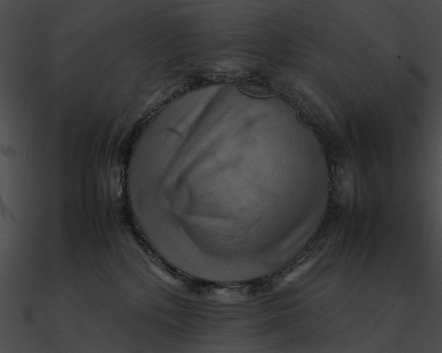 X0000090490232200708031153