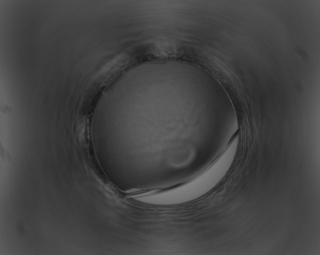 X0000090490233200708031153