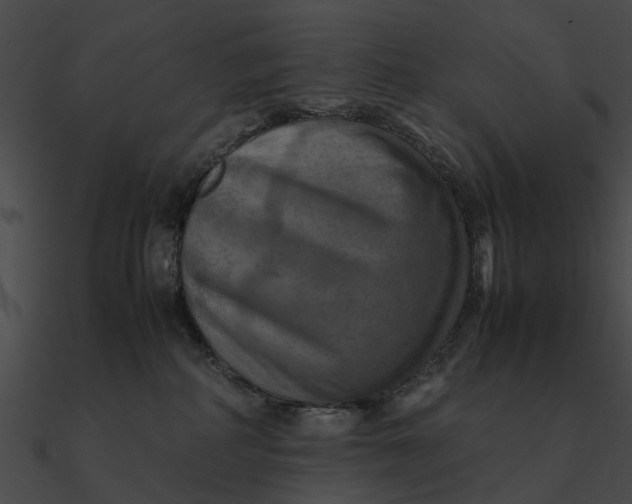 X0000090490234200708031153