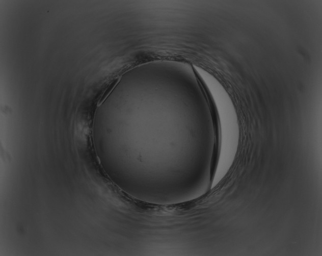 X0000090490235200708031153