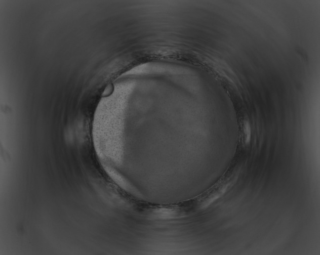 X0000090490236200708031153